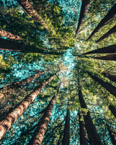 NATUR